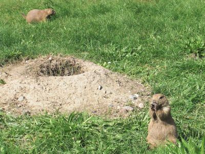 Tierpark Wismar