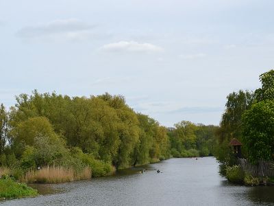 Paddeln auf der Peene | © Hansestadt Demmin
