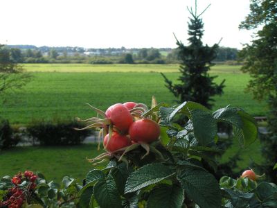 Tour 4: Demmin - Verchen - Demmin