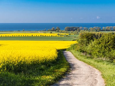 Fahrradtour durch die Kühlung