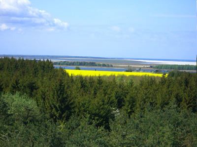 Radwanderung entlang der Boddenküste von Klausdorf nach Zarrenzin