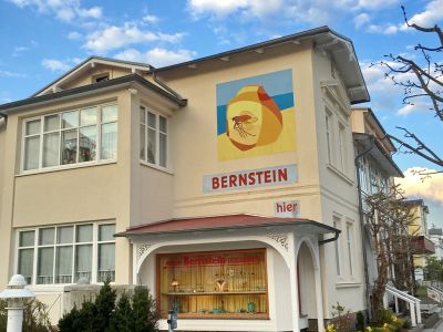 Bernsteinmuseum Sellin | mvp.de