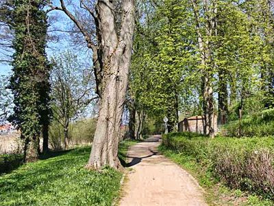 Engelscher Garten