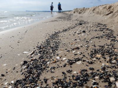 Strand | © Samuel Knoblauch - Verein Jordsand