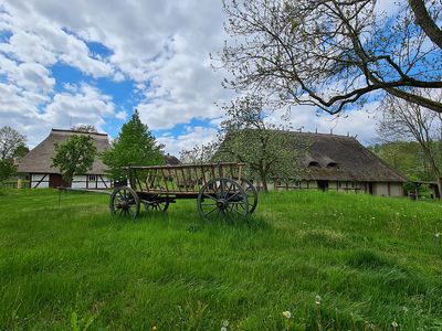 Bauernhäuser & Pfedewagen | © Fred Ingo Pahl