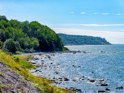 Naturschutzgebiet Nordufer Wittow mit Hohen Dielen
