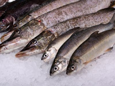 Rostocker Fischmarkt
