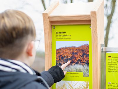 © Erlebnis Akademie AG/Naturerbe Zentrum Rügen