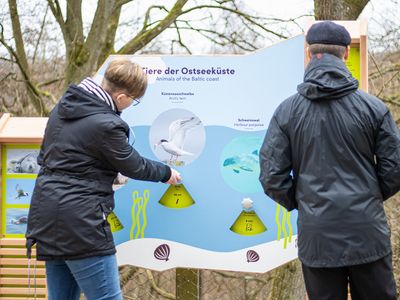 © Erlebnis Akademie AG/Naturerbe Zentrum Rügen