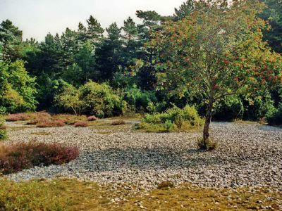 Schmale Heide
