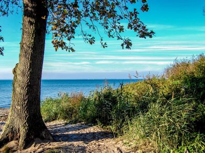 Rosenhagen | hanseat - stock.adobe.com