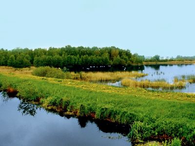 Aussichtspunkt Dütschower Brücke