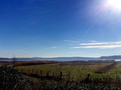Selliner See | mvp.de