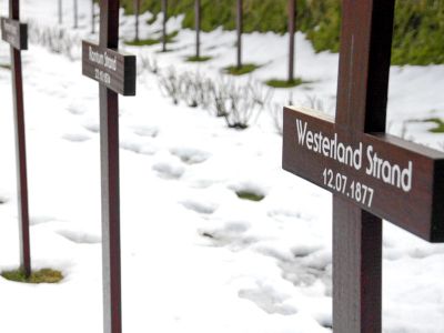 Friedhof der Heimatlosen | Matthias Krüttgen - stock.adobe.com