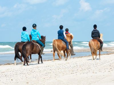 Reiten/ Strandausritte auf der Insel Sylt | FEEDBACK WERBEAGENTUR GMBH - stock.adobe.com