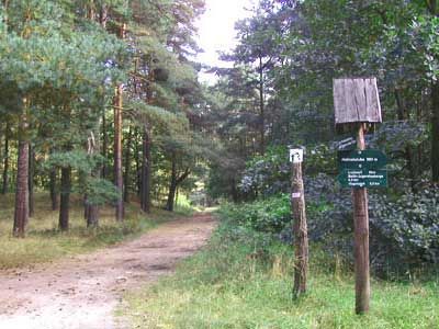 Rundwanderweg Eggesiner See