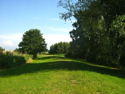 Naturpark Stettiner Haff - Besucherzentrum | Botaurus - Wikipedia