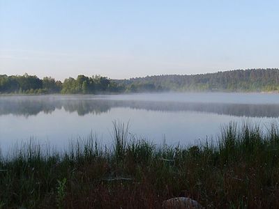 Fürstenseer See im Morgennebel | © S. Wildermann