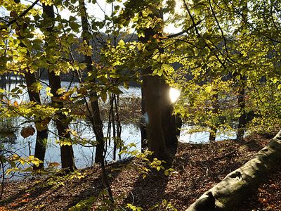 Schweingartensee am Welterbegebiet | © B. Lüthi Herrmann