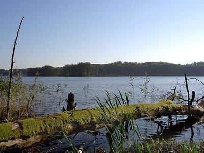 Schweingartensee | © J. Dahlmann