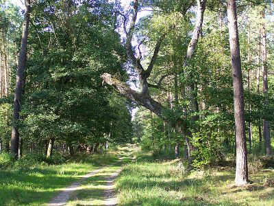 Radwanderweg bei Klockow | © mvp.de - JP