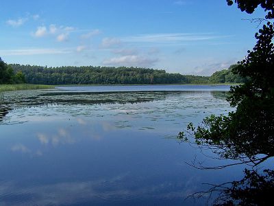 Dambecker See bei Pievestorf | © mvp.de - JP