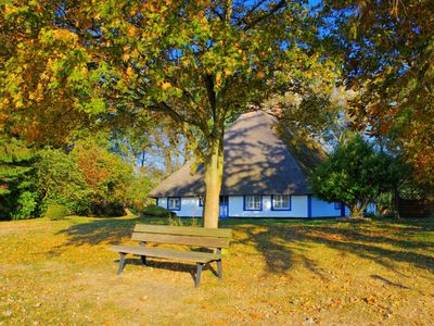 Freesenort im Herbst | © LianeM