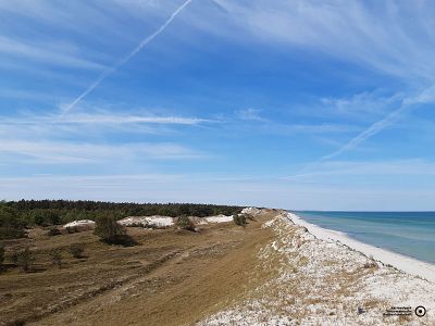 Hohe Düne Zingst | © Jens Bassek