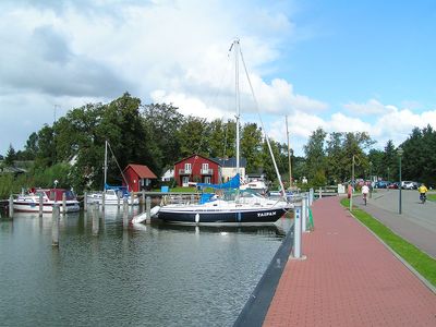 Hafen Born