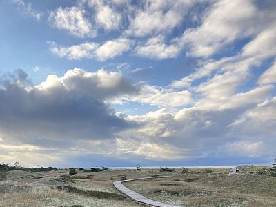 Rundwanderweg Darßer Ort | © Lilia Reisig