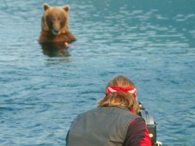 Darßer NaturfilmFestival