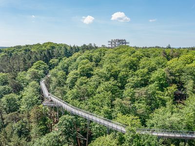 Luftbild im Sommer | © Erlebnis Akademie AG/Baumwipfelpfad Usedom