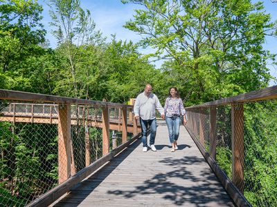 Pfad im Sommer | © Erlebnis Akademie AG/Baumwipfelpfad Usedom