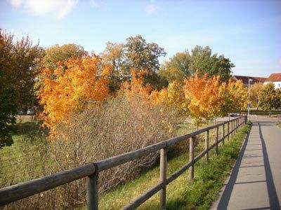 Radwanderung rund um Parchim - Tour 2