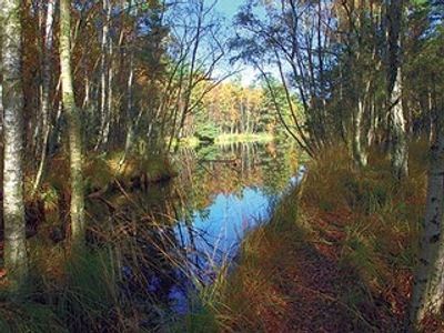 Schulungs- und Informationszentrum "Wald und Moor"
