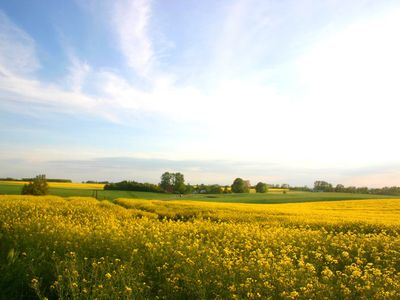 Radwanderung südöstlich von Rerik