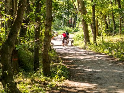 Große Radtour durch die Rostocker Heide