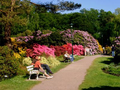 Rhododendronpark Graal-Müritz