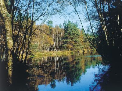 Naturschutzgebiet Ribnitzer Großes Moor