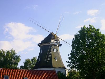 Galerieholländermühle in Graal-Müritz