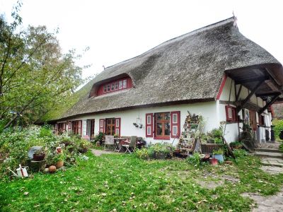 Dornenhaus