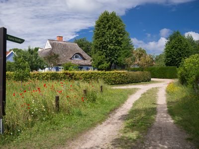  Kurze Straße in Born am Darss | © Carl-Jürgen Bautsch - stock.adobe.com