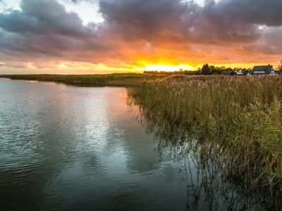Dramatischer Sonnenuntergang in Born - Darss | © weixx - stock.adobe.com
