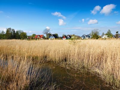 Am Bodden bei Wieck (Fischland-Darß) | © Rico Ködder - stock.adobe.com