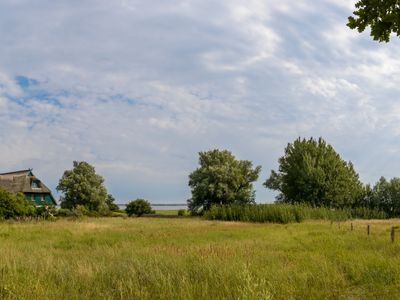 Boddenlandschaft mit Reethaus | © ebenart - stock.adobe.com