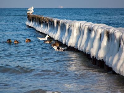 Winter & Meer