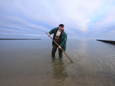 Geführte Bernsteinsuche am Strand mit Thomas Reich | © Bernsteinsuche