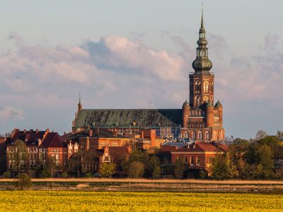 Dom St. Nikolai Greifswald