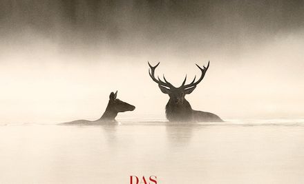 Poster Film