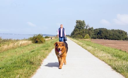 Spaziergang auf Ummanz  (Insel Rügen) | © Sabine Schönfeld - stock.adobe.com